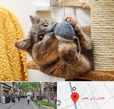 خرید اسباب بازی گربه در ولیعصر شهریار