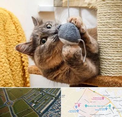 خرید اسباب بازی گربه در الهیه مشهد