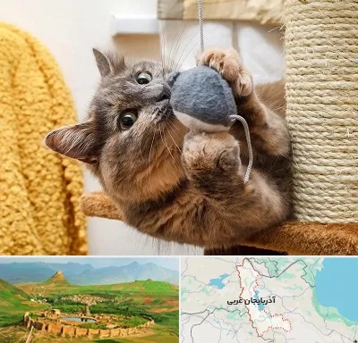 خرید اسباب بازی گربه در آذربایجان غربی
