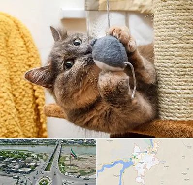 خرید اسباب بازی گربه در میاندوآب