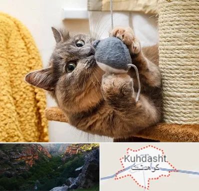 خرید اسباب بازی گربه در کوهدشت