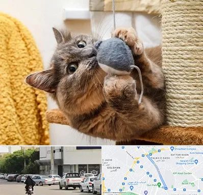 خرید اسباب بازی گربه در قدوسی شرقی شیراز