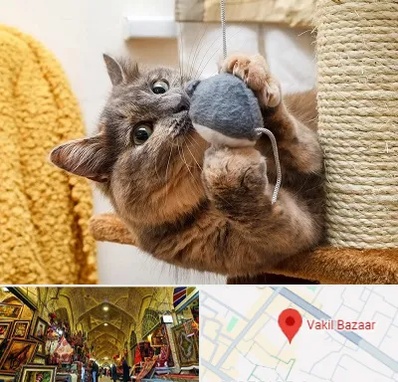 خرید اسباب بازی گربه در بازار وکیل شیراز