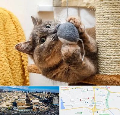 خرید اسباب بازی گربه در شهرک راه آهن