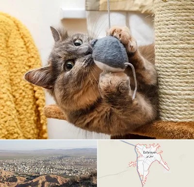 خرید اسباب بازی گربه در اسفراین