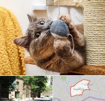 خرید اسباب بازی گربه در دزاشیب