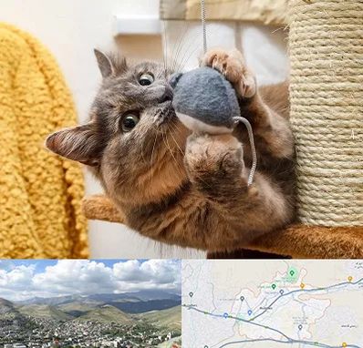 خرید اسباب بازی گربه در رودهن