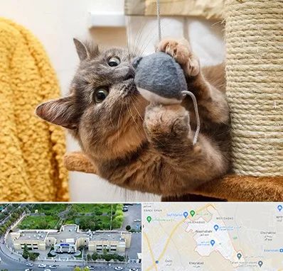 خرید اسباب بازی گربه در نسیم شهر