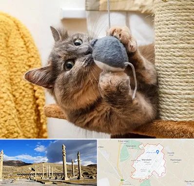 خرید اسباب بازی گربه در مرودشت