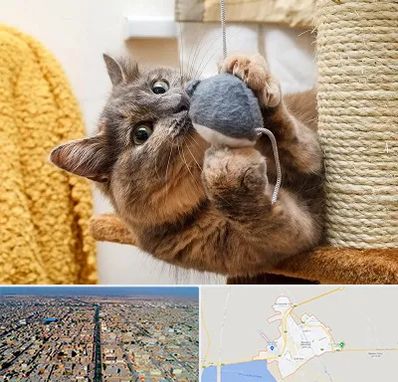خرید اسباب بازی گربه در بندر ماهشهر