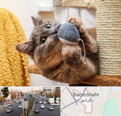 خرید اسباب بازی گربه در باقرشهر