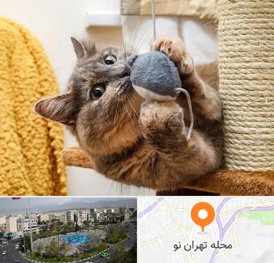 خرید اسباب بازی گربه در تهران نو