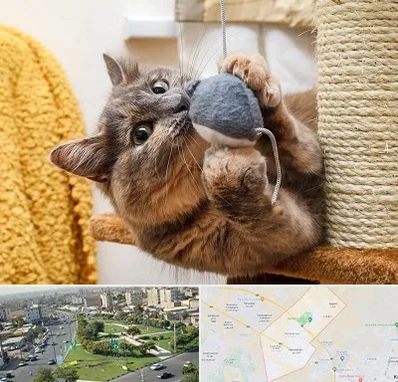 خرید اسباب بازی گربه در کمال شهر کرج