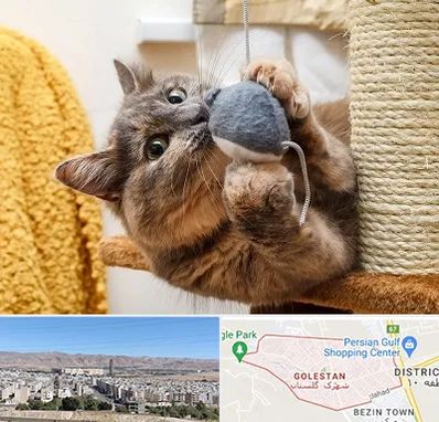 خرید اسباب بازی گربه در شهرک گلستان شیراز