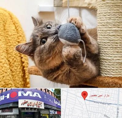 خرید اسباب بازی گربه در امین حضور