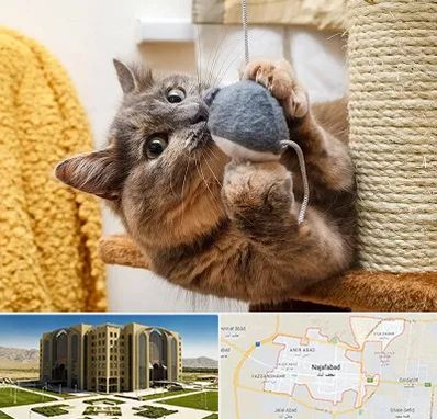 خرید اسباب بازی گربه در نجف آباد