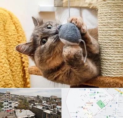 خرید اسباب بازی گربه در شمیران نو