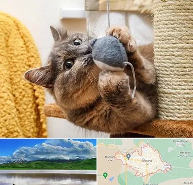 خرید اسباب بازی گربه در مرند