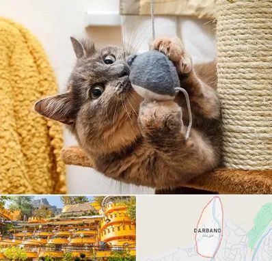 خرید اسباب بازی گربه در دربند