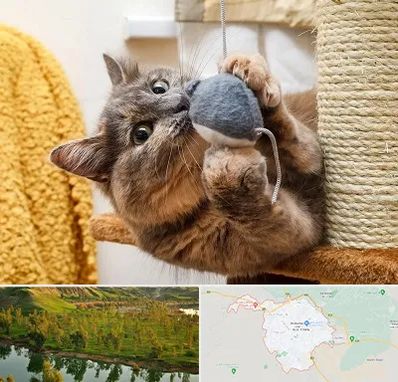 خرید اسباب بازی گربه در بهبهان