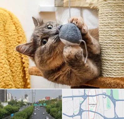 خرید اسباب بازی گربه در توانیر