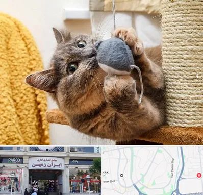 خرید اسباب بازی گربه در ایران زمین