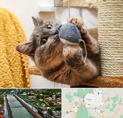 خرید اسباب بازی گربه در مراغه