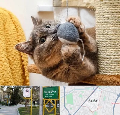 خرید اسباب بازی گربه در تهران ویلا