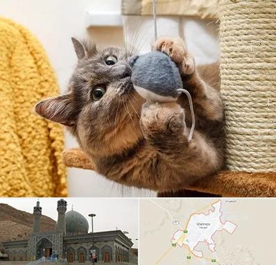 خرید اسباب بازی گربه در شهرضا