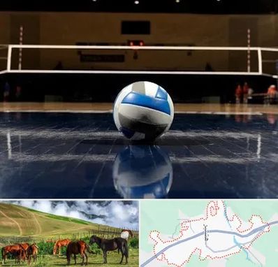 باشگاه والیبال در تالش