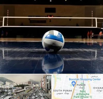 باشگاه والیبال در پونک