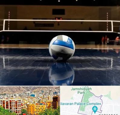 باشگاه والیبال در نیاوران