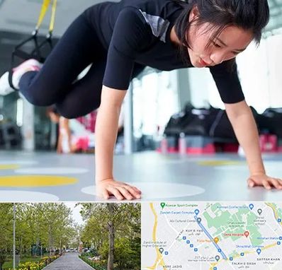 مربی تی ار ایکس در قدوسی غربی شیراز