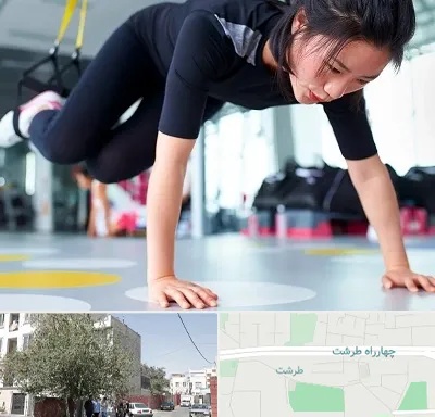 مربی تی ار ایکس در طرشت