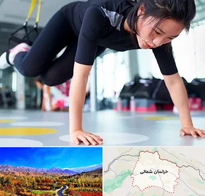 مربی تی ار ایکس در خراسان شمالی