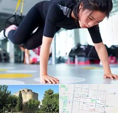 مربی تی ار ایکس در مرداویج اصفهان