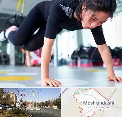 مربی تی ار ایکس در مشکین دشت