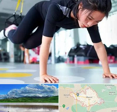 مربی تی ار ایکس در مرند