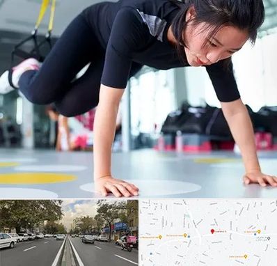 مربی تی ار ایکس در دولت