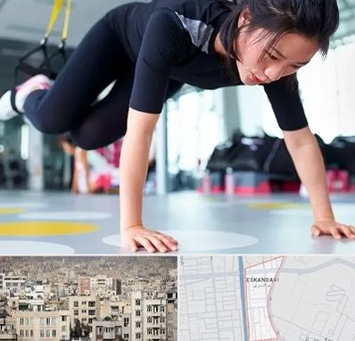 مربی تی ار ایکس در اسکندری