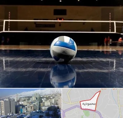 زمین والیبال در محمودیه