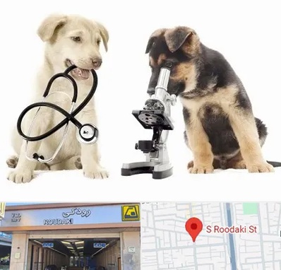 آزمایشگاه دامپزشکی در رودکی
