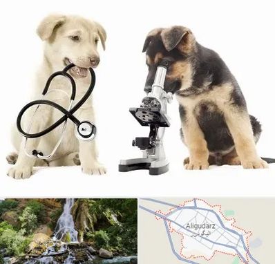 آزمایشگاه دامپزشکی در الیگودرز