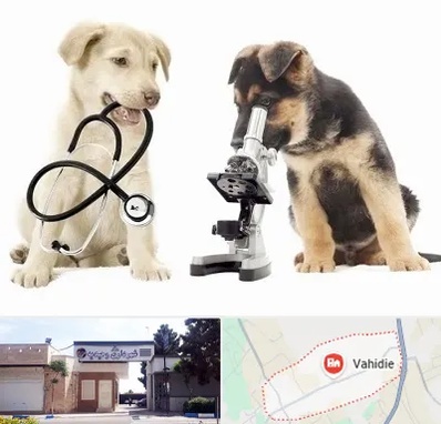 آزمایشگاه دامپزشکی در وحیدیه شهریار
