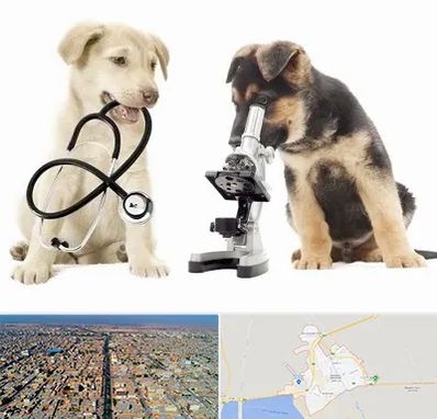 آزمایشگاه دامپزشکی در بندر ماهشهر