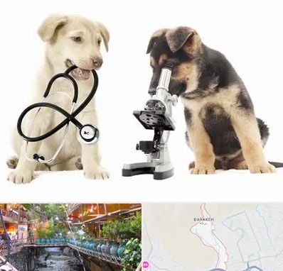 آزمایشگاه دامپزشکی در درکه