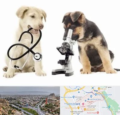 آزمایشگاه دامپزشکی در معالی آباد شیراز