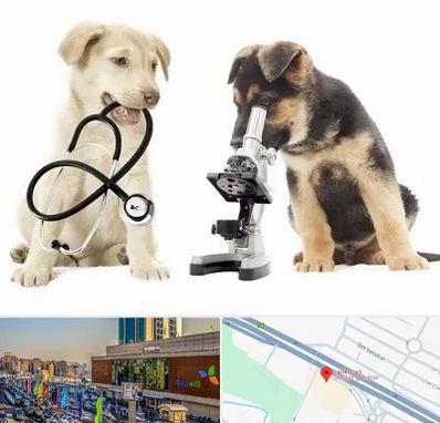 آزمایشگاه دامپزشکی در لاله پارک تبریز