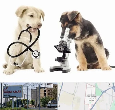 آزمایشگاه دامپزشکی در فاز یک اندیشه