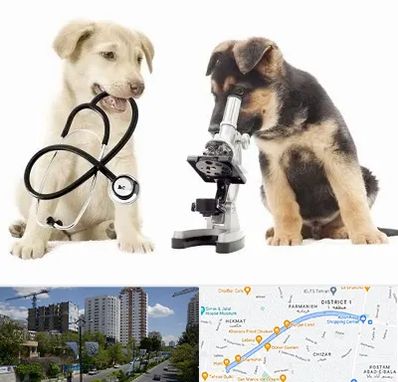 آزمایشگاه دامپزشکی در اندرزگو